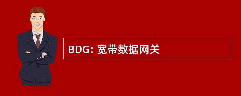 BDG: 宽带数据网关