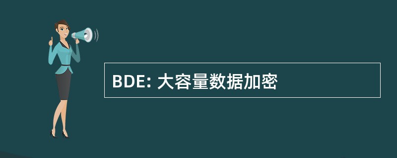 BDE: 大容量数据加密