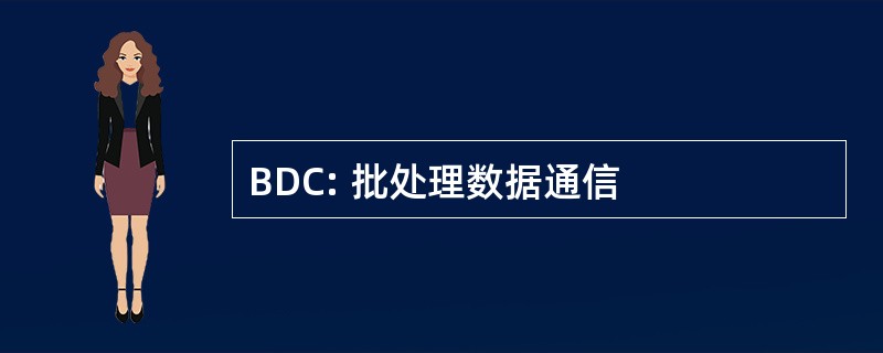 BDC: 批处理数据通信