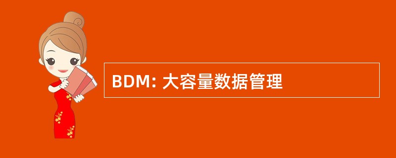 BDM: 大容量数据管理