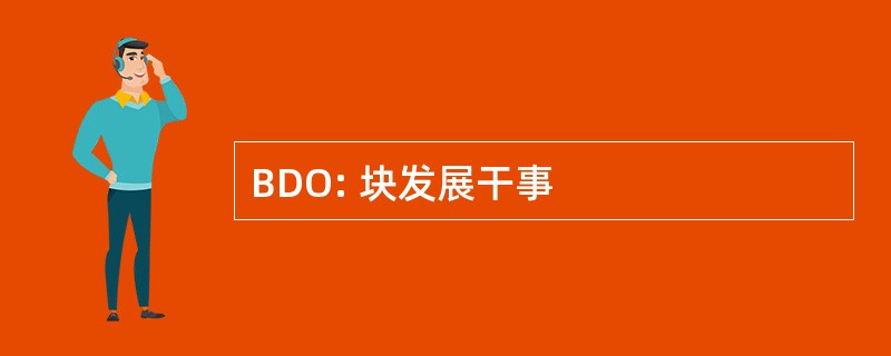 BDO: 块发展干事