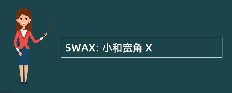 SWAX: 小和宽角 X