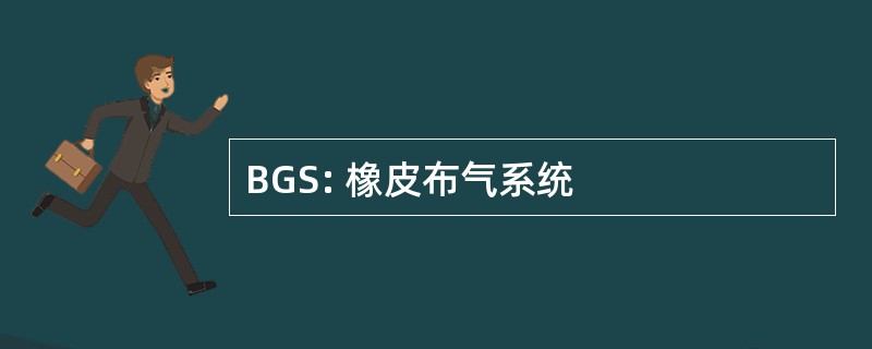 BGS: 橡皮布气系统