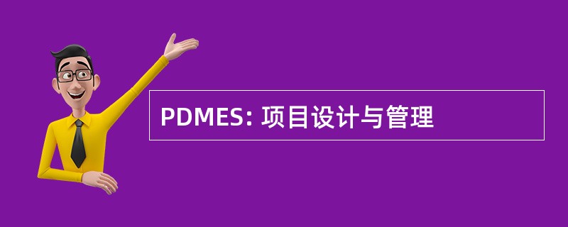 PDMES: 项目设计与管理