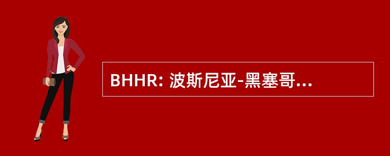 BHHR: 波斯尼亚-黑塞哥维那遗产救援