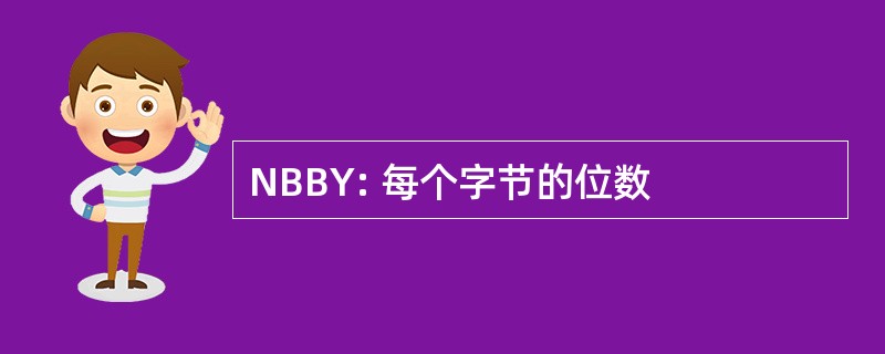 NBBY: 每个字节的位数