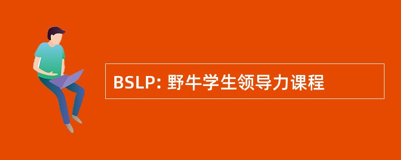 BSLP: 野牛学生领导力课程