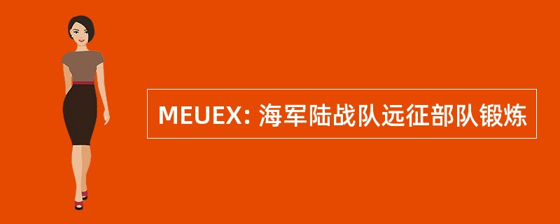 MEUEX: 海军陆战队远征部队锻炼