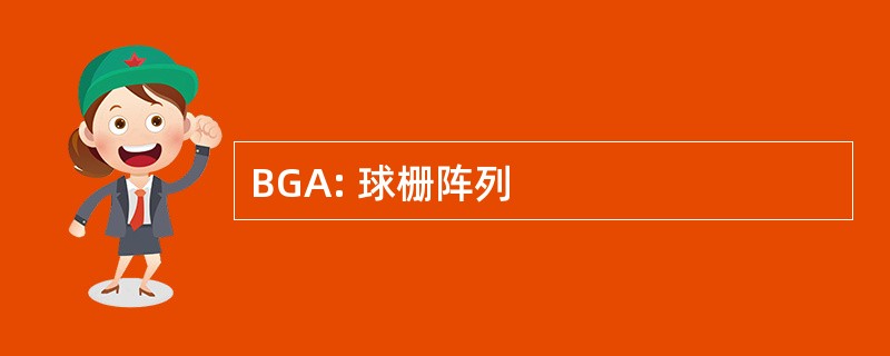 BGA: 球栅阵列