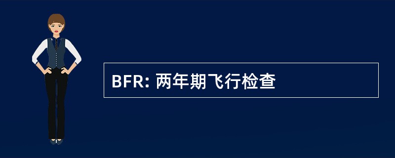 BFR: 两年期飞行检查