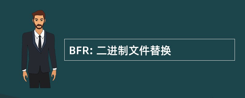 BFR: 二进制文件替换