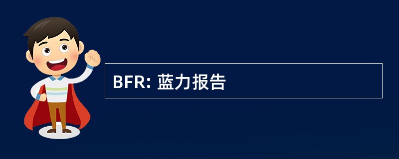 BFR: 蓝力报告