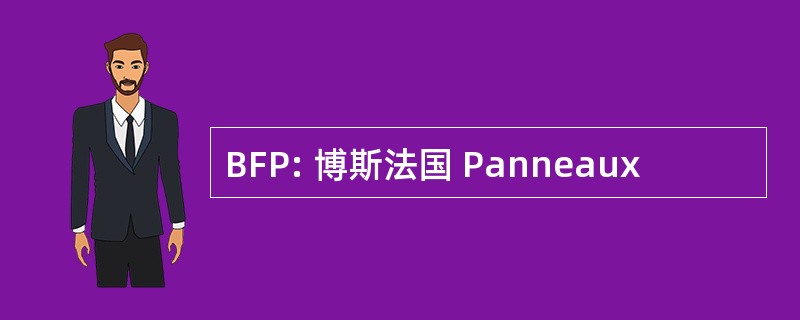 BFP: 博斯法国 Panneaux