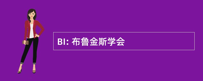 BI: 布鲁金斯学会