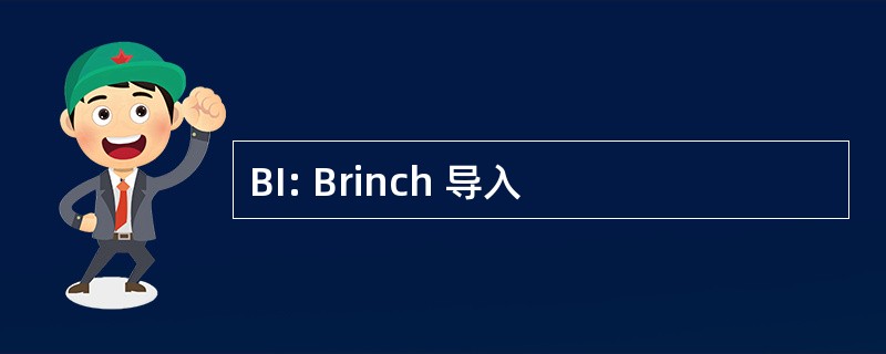 BI: Brinch 导入