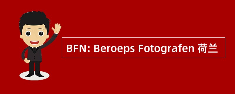 BFN: Beroeps Fotografen 荷兰