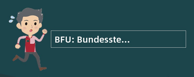 BFU: Bundesstelle fÃ¼r Flugunfalluntersuchung