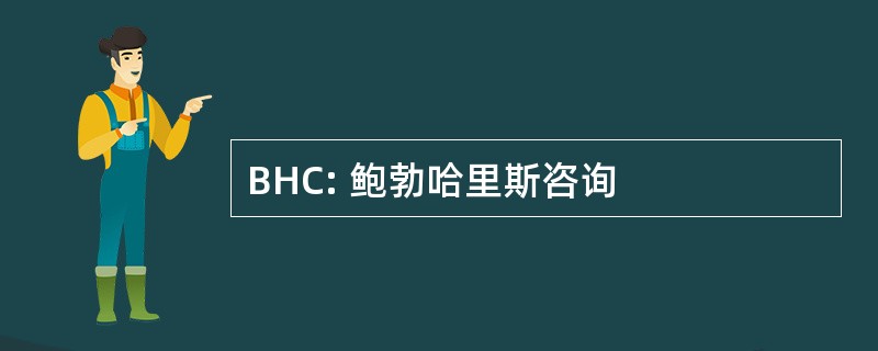 BHC: 鲍勃哈里斯咨询