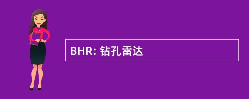 BHR: 钻孔雷达