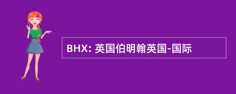 BHX: 英国伯明翰英国-国际