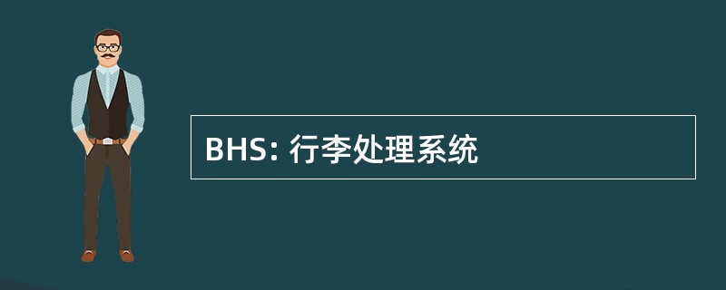 BHS: 行李处理系统