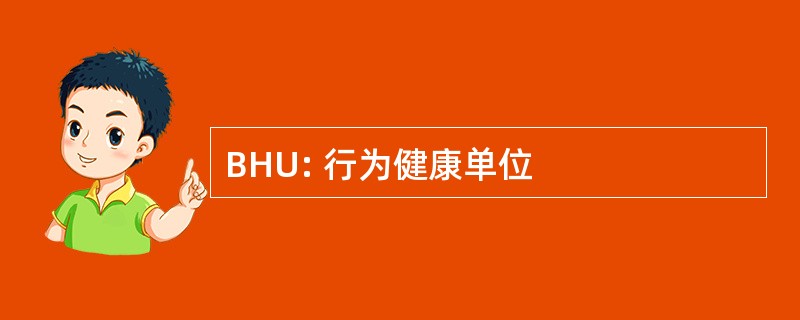 BHU: 行为健康单位