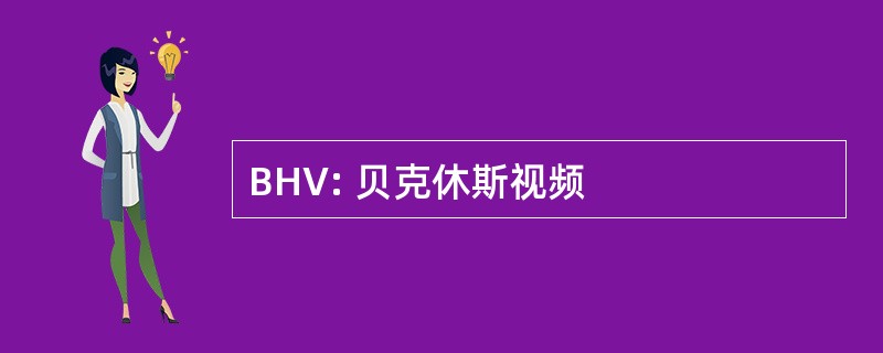 BHV: 贝克休斯视频