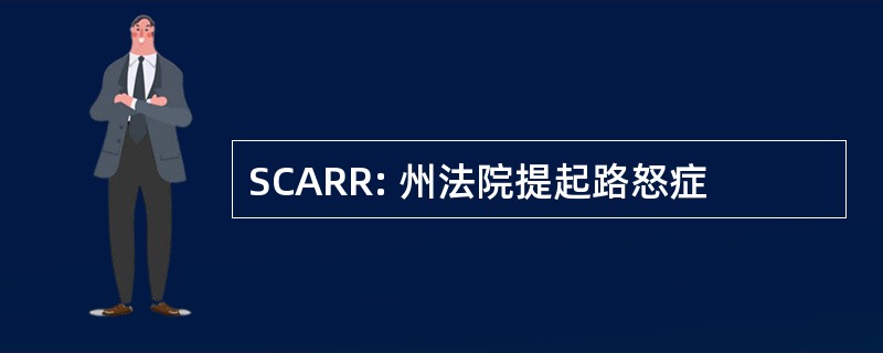 SCARR: 州法院提起路怒症