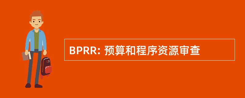 BPRR: 预算和程序资源审查