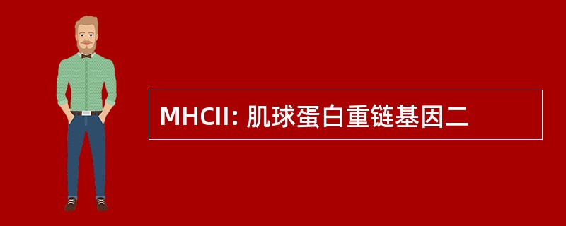 MHCII: 肌球蛋白重链基因二