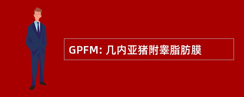 GPFM: 几内亚猪附睾脂肪膜