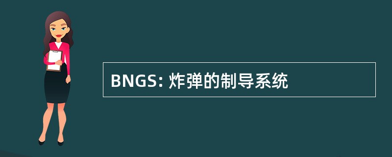 BNGS: 炸弹的制导系统