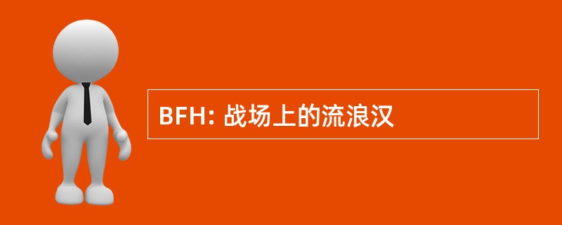 BFH: 战场上的流浪汉