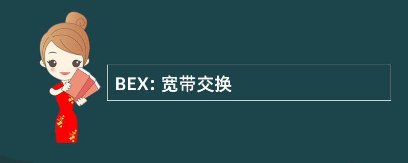 BEX: 宽带交换