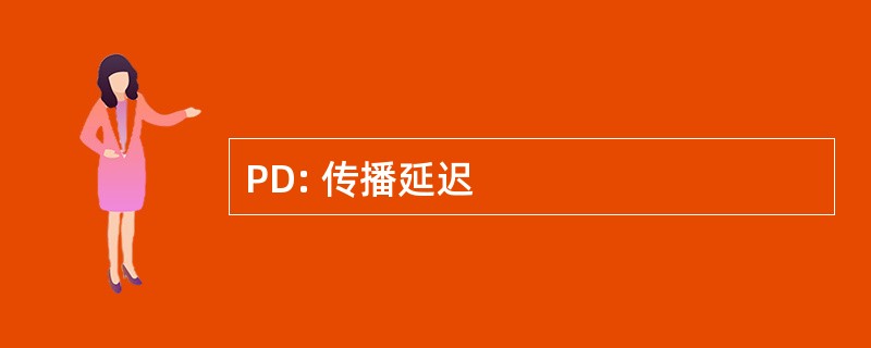 PD: 传播延迟