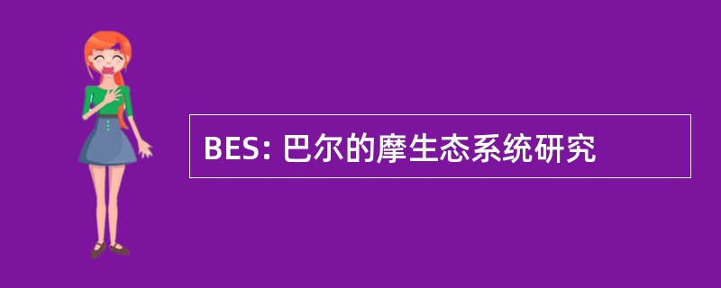 BES: 巴尔的摩生态系统研究