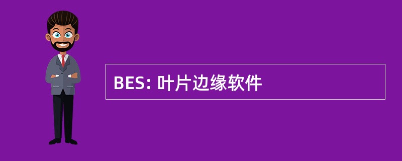 BES: 叶片边缘软件