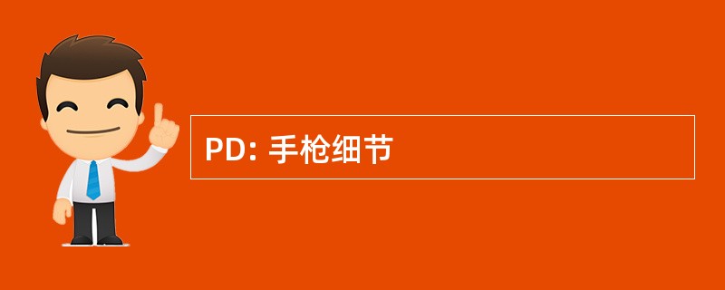 PD: 手枪细节