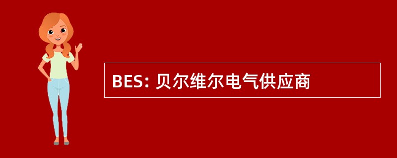 BES: 贝尔维尔电气供应商