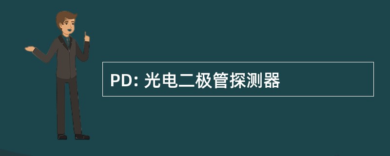 PD: 光电二极管探测器