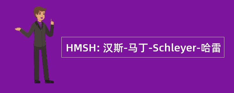 HMSH: 汉斯-马丁-Schleyer-哈雷