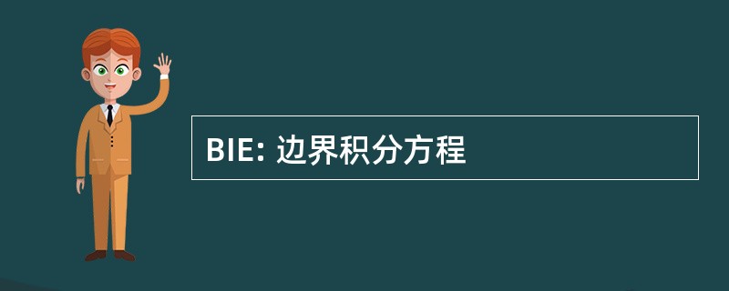 BIE: 边界积分方程