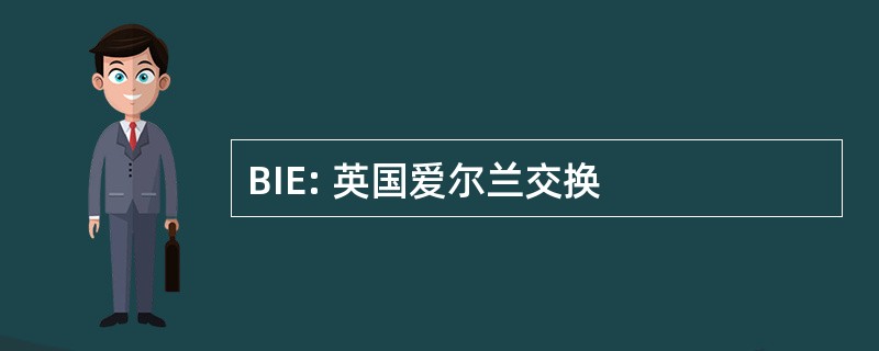 BIE: 英国爱尔兰交换