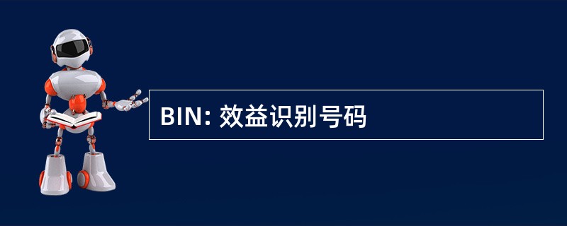 BIN: 效益识别号码