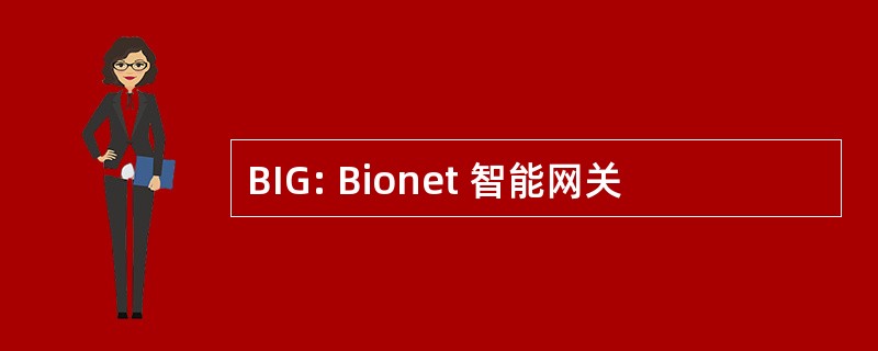 BIG: Bionet 智能网关