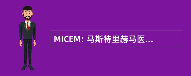 MICEM: 马斯特里赫马医学国际大会