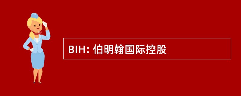 BIH: 伯明翰国际控股