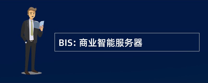 BIS: 商业智能服务器