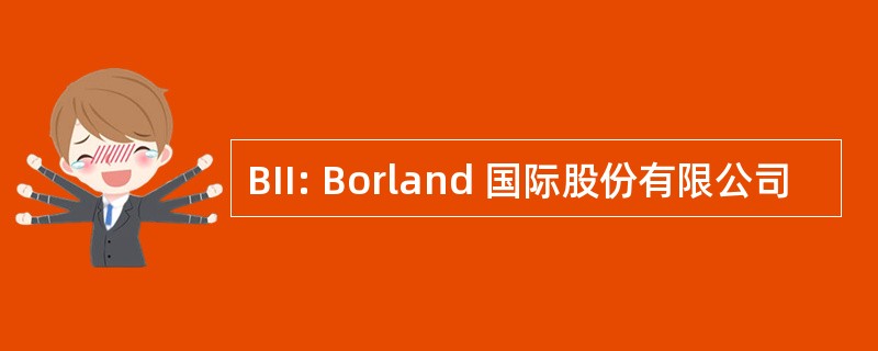 BII: Borland 国际股份有限公司