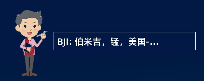 BJI: 伯米吉，锰，美国-伯米吉市机场